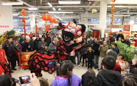 Henlong Market Chinese New Year 2017