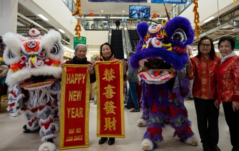 Henlong Market - Chinese New Year 2020