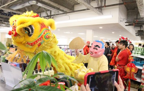 Henlong Market - Chinese New Year 2018